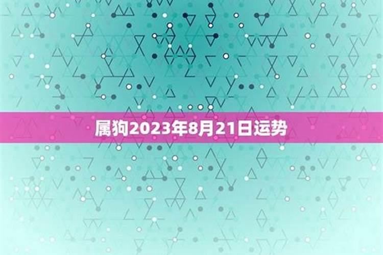 75年属兔人2023运程如何