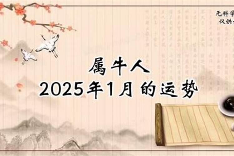 1951年属兔的是木命还是金命