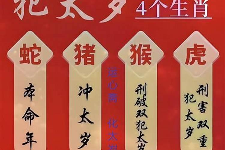 属龙的今年犯太岁吗2024年如何化解