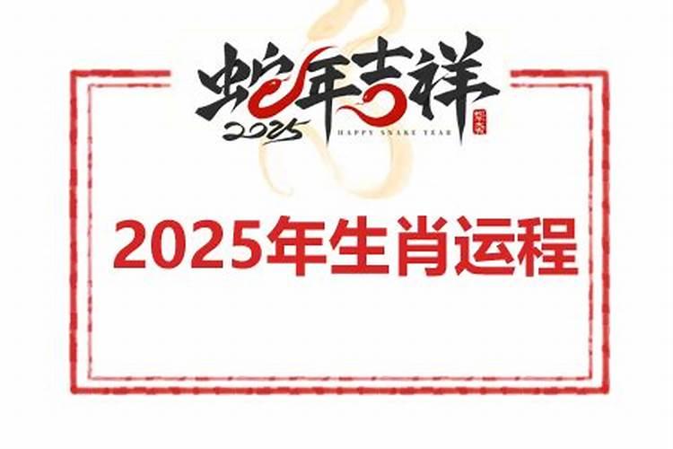 生肖猪2025年运势大全灵匣