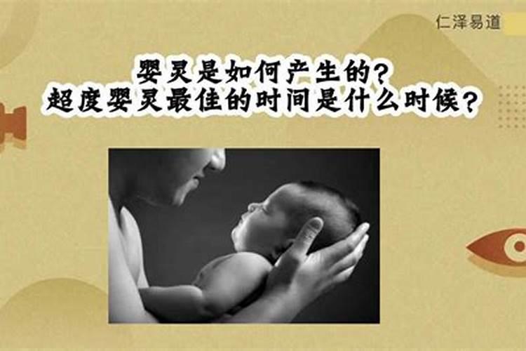 俩龙属相婚姻怎么样