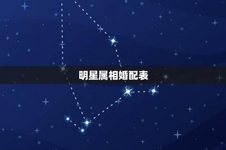 明星属相虎