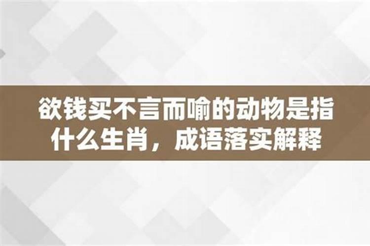 欲钱买坏脾气的动物是什么生肖