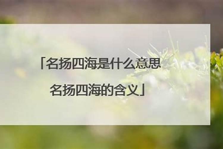 名扬四海是什么生肖