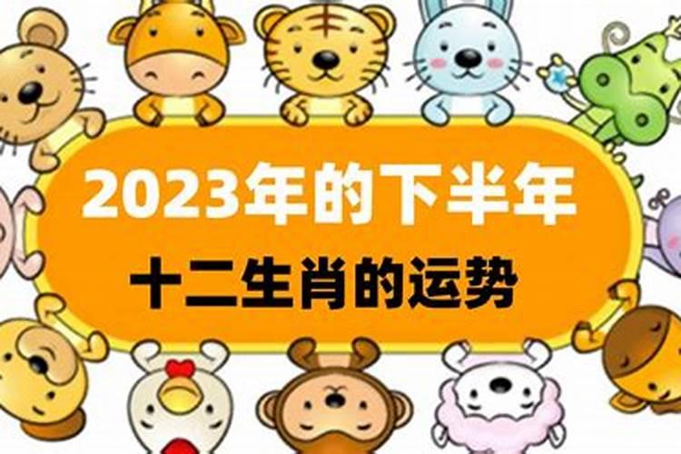 属龙的人在2025年运程