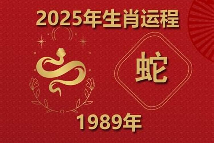 属蛇2025刑太岁怎么破解