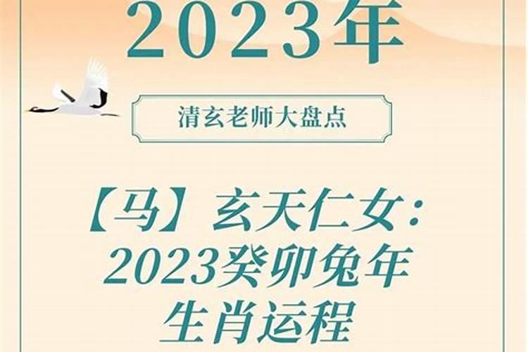 属蛇2025年运势破解