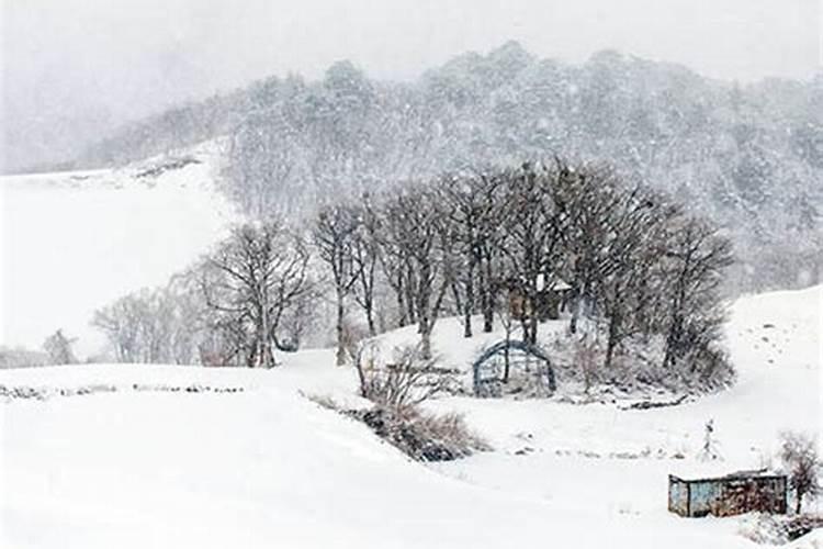 梦见下雪好吗梦见自己在家盖房子好吗