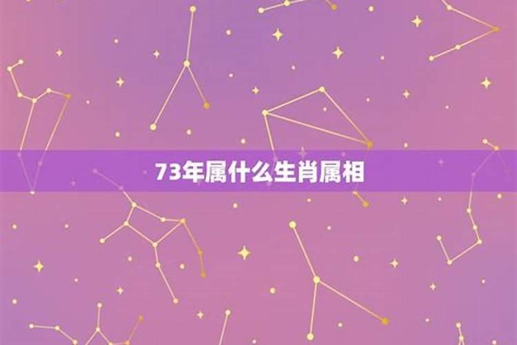 73年的属什么星座