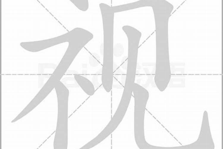 视字五行属什么的