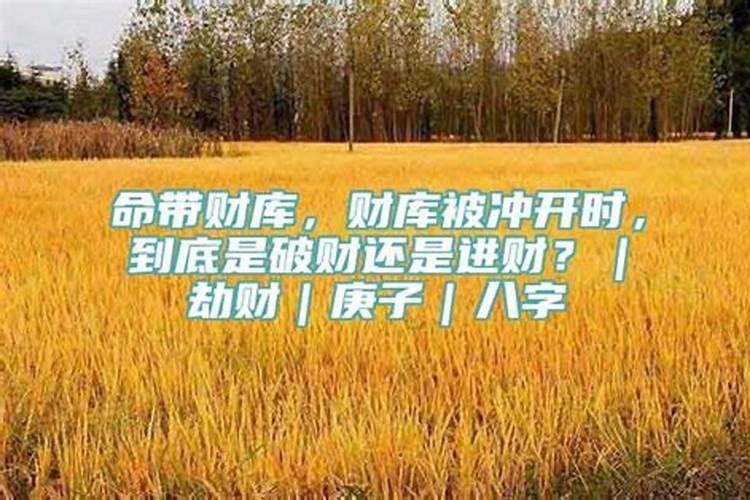 属龙的在牛年运气怎么样