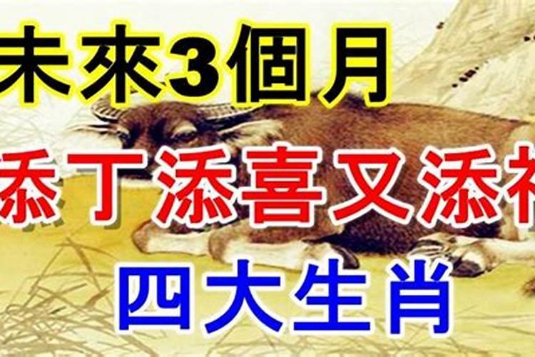 家又添喜人丁旺是什么生肖