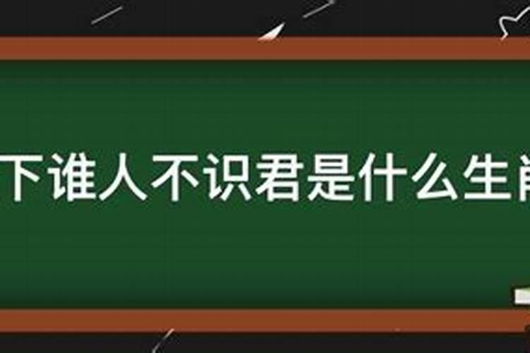 天下谁人不识君是什么生肖