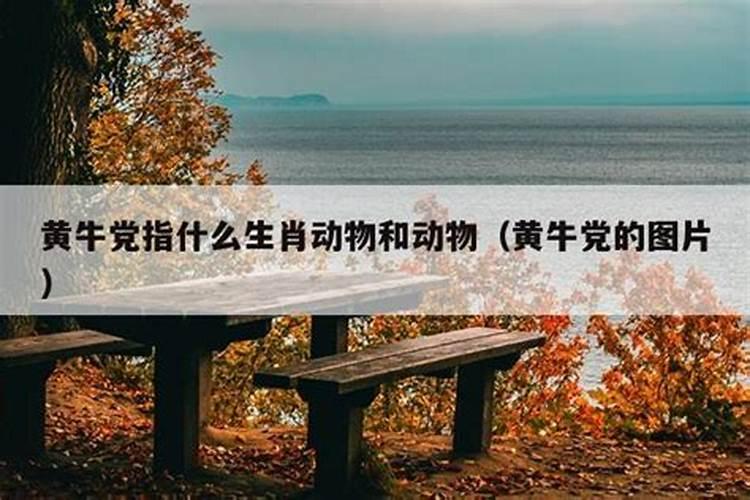 清明指的什么生肖动物