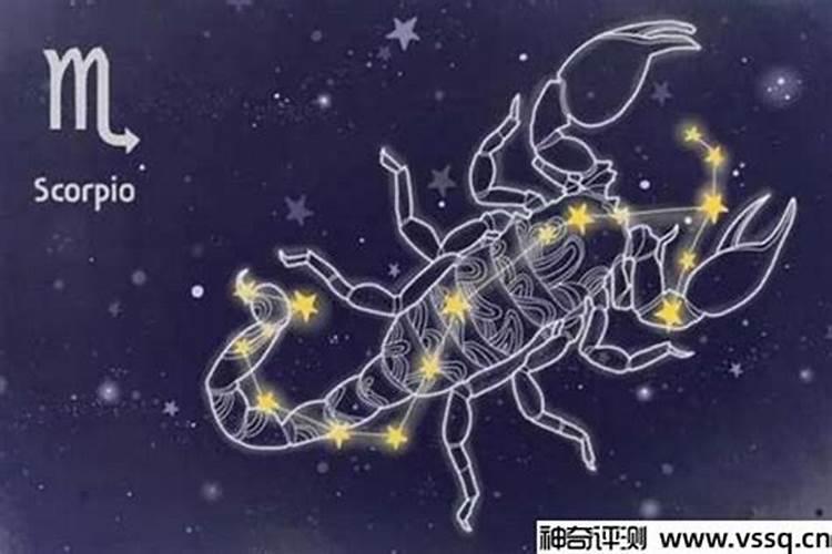 11月9日是什么星座天蝎座性格