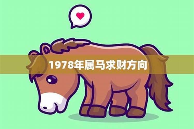 1978年属马的财运