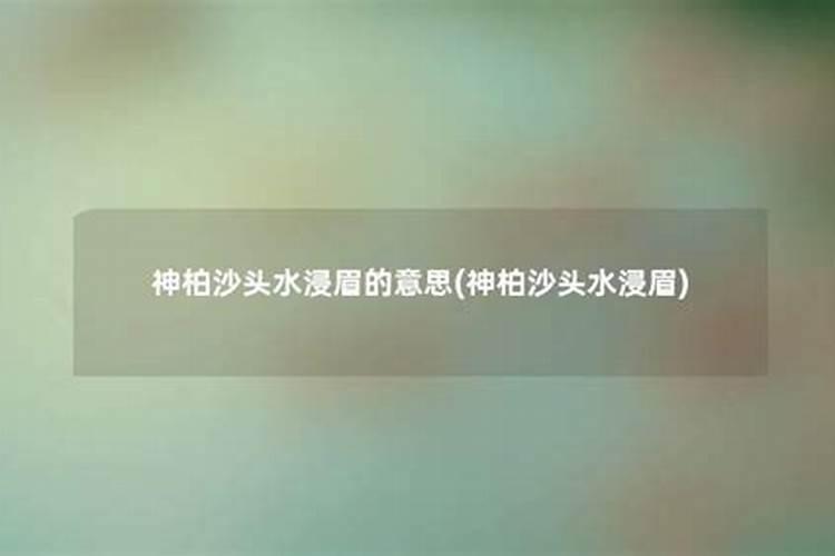 神柏沙头是什么生肖