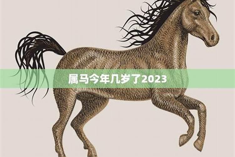 2022属马今年多少岁