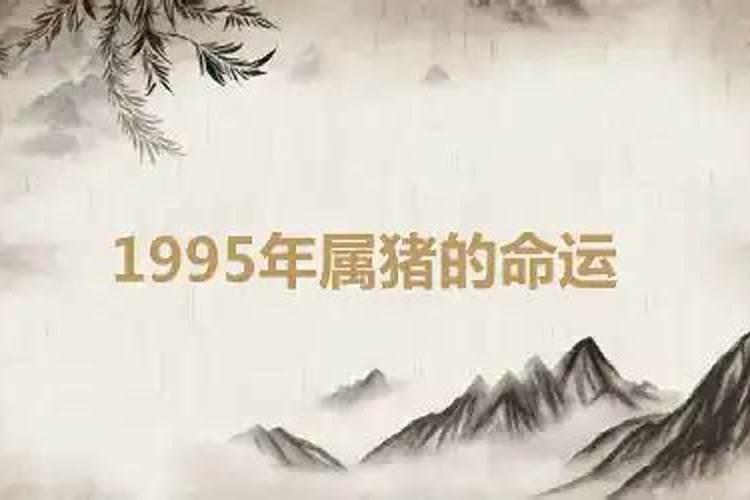 1995属猪的命运与婚姻幸运数字