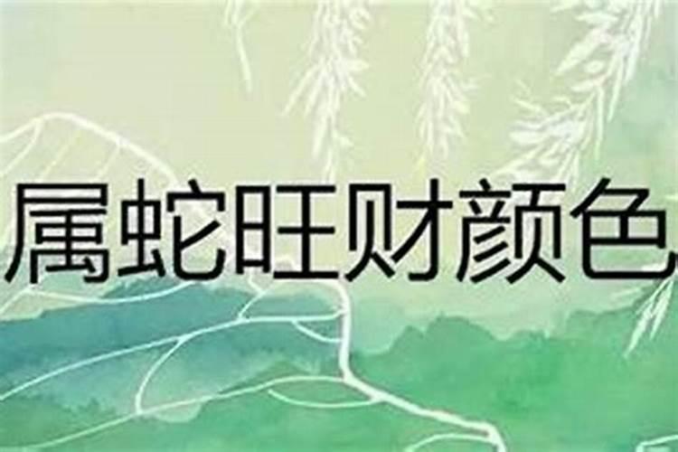 生肖蛇明年运势怎么改变