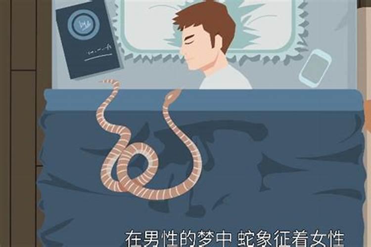 梦见把蛇放生是什么意思