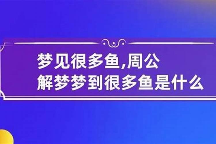 梦见很多鱼是什么意思周公解梦