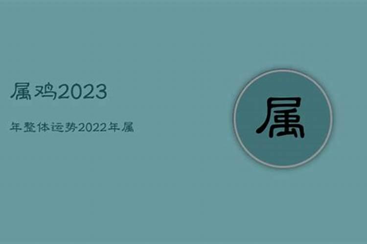 屬雞2023年運勢及運程12月 2023年屬雞很慘嗎