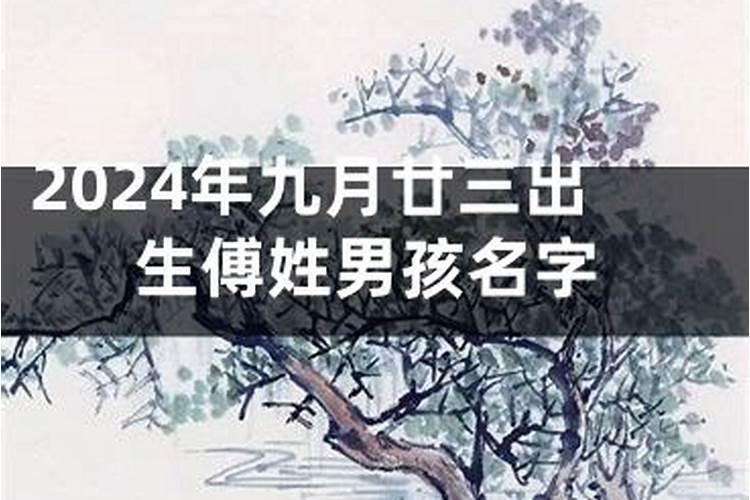 2023年有牢狱之灾的属相