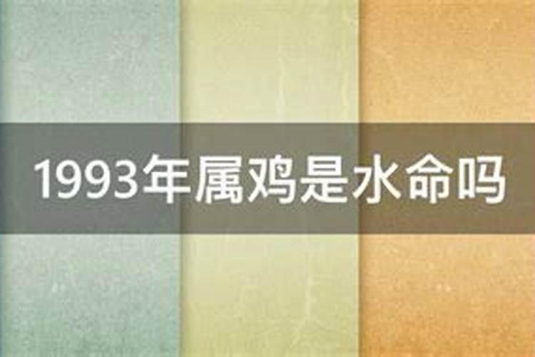 1993什么命五行属性是什么