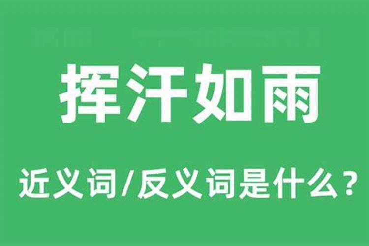 挥汗如雨是什么生肖最佳答案