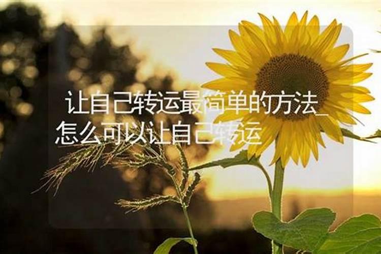 突然梦到自己喜欢的人代表什么