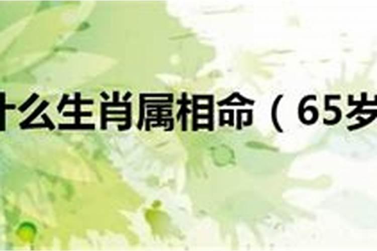 65岁属什么生肖的