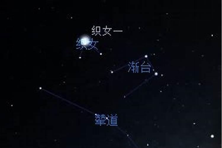 织女星属于哪一星座