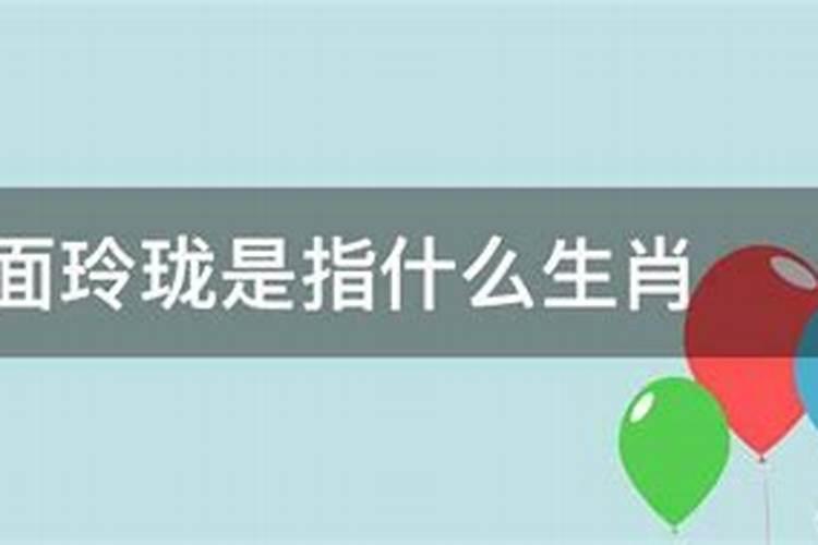 八面玲珑是指什么生肖