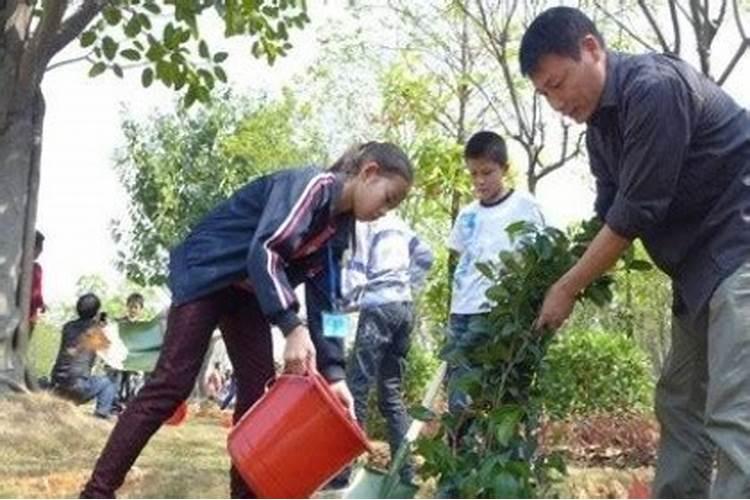 梦见种树预示着什么