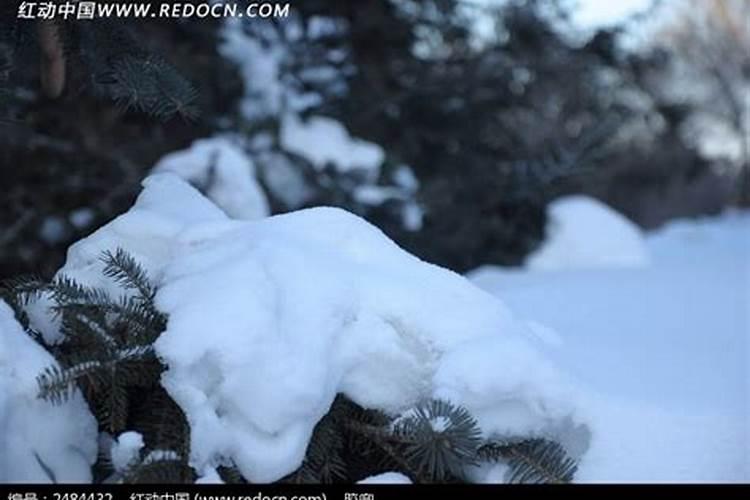 梦到有很厚的积雪