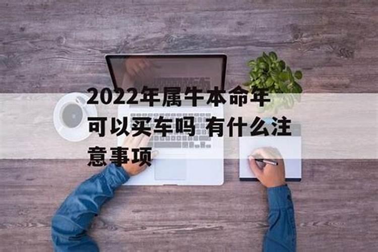 属马今年犯太岁吗2022年结婚