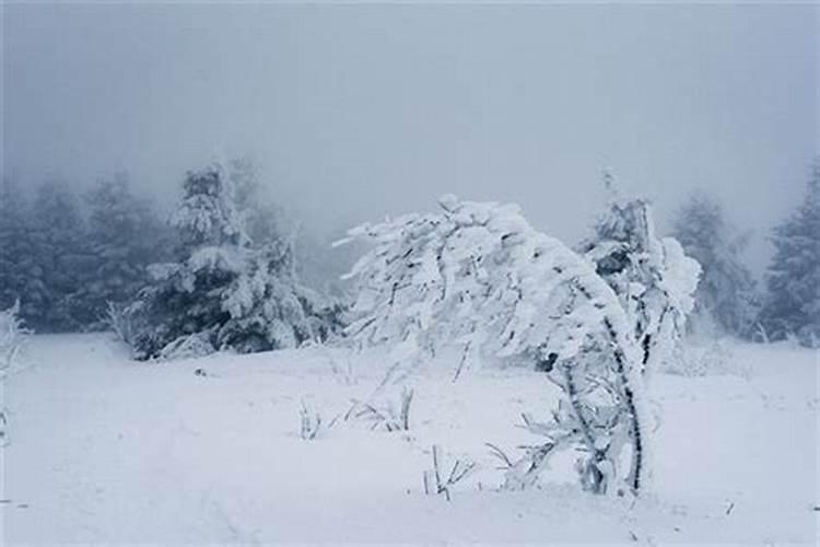 做梦梦见暴风雪