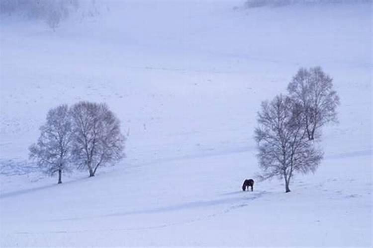 做梦梦见暴风雪