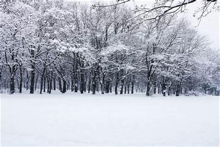 梦见狂风暴雪是什么征兆