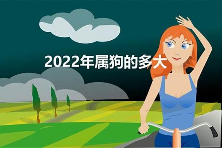 2022年属狗的多大年龄