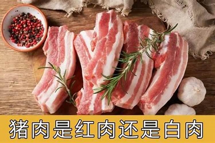 猪肉五行属什么行业的