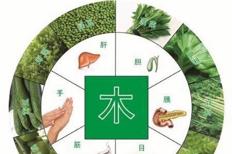 食物五行属性一览表(最全)