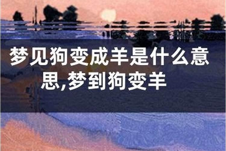 梦见狗和羊是什么意思啊