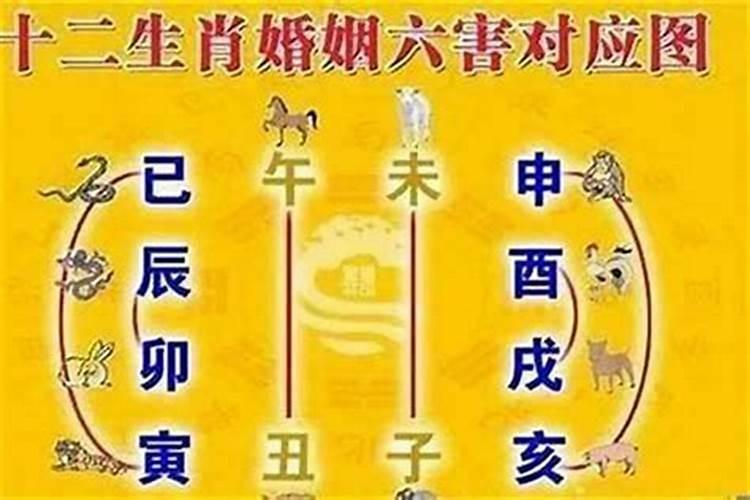 结婚时忌属相