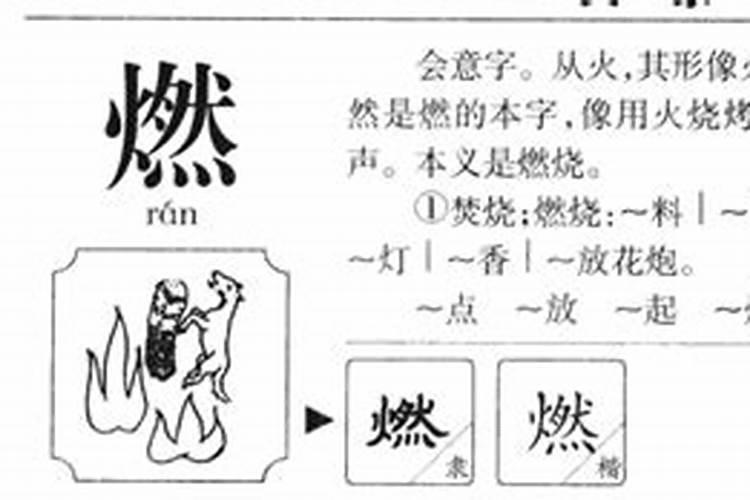 燃是属于五行属什么