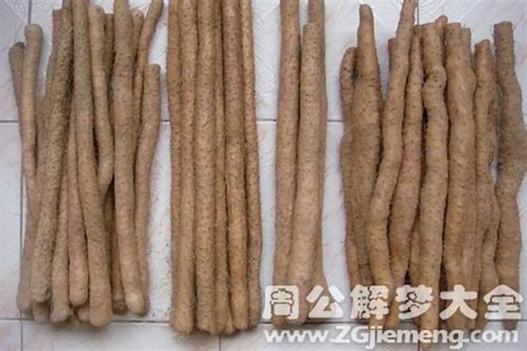 梦到好多山药是什么意思