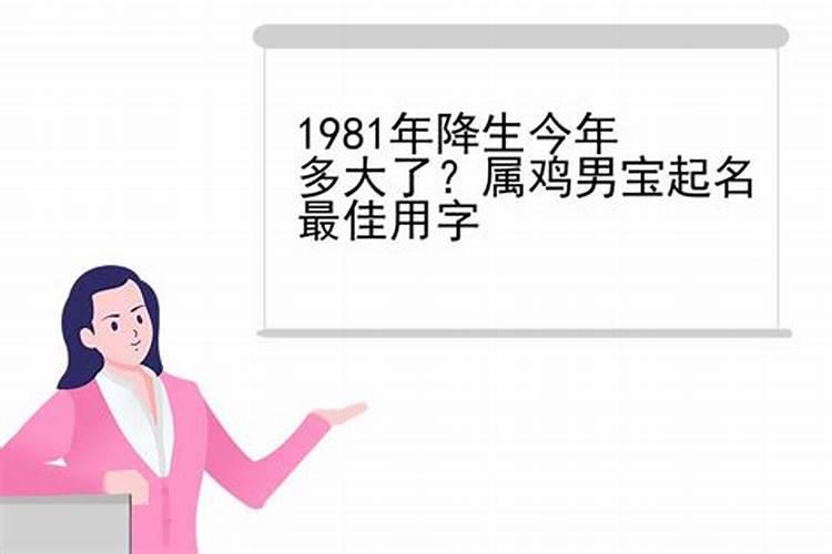 1981年属什么鸡