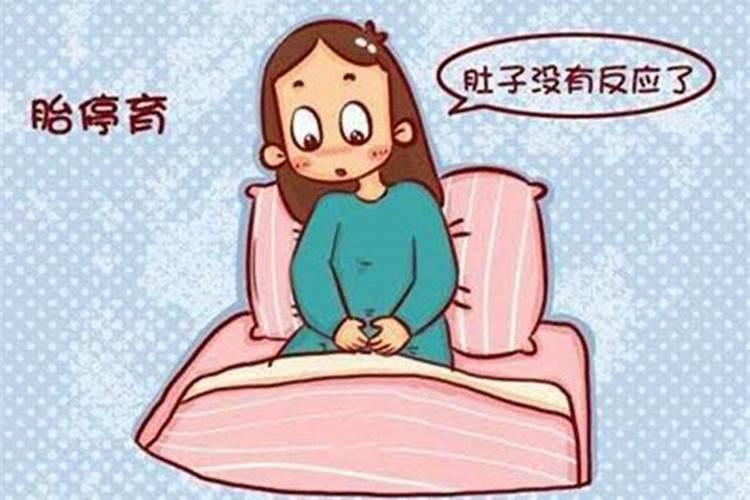 双子座今年的运势女如何