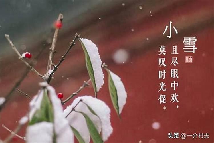 不见下雪不回家是什么生肖要百分百答案